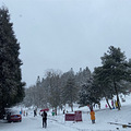 12.26仙女山难得的大雪，结果景区关闭。_0