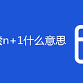 �����⳥n+1ʲô��˼