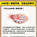 кܶöΪAMH;ͣѳ˥ʹ©©ˣ_3