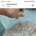 重庆新房漏水哪家强？金融街两江融府美名扬_2