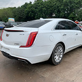 XTS188ȫԭɫ18Ӣ_2