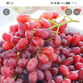 京东第三方，京东的毒瘤！您永远要远离！！！_4