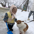游南天湖偶遇大雪，还住到了神仙“酒店”_0