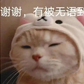 林志玲也算是没嫁错吧？_4