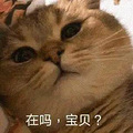 牛仔裤要买贵的吗？ 想知道100左右和大几百的有什么区别