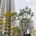 御璟湖山·云极接房了!_3