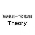 ÿʶһƷơTheory_1