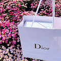 DiorֱܼҪ̫ԣҲֻҿ_1