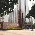 2023年南岸11中指标到校分数？2023年十一中指标到校录取线？
