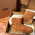 UGGƷǶٵѩѥƷô󣬵ֵò