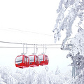 元旦重庆出发耍雪线路_1