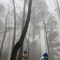 我在南山画了一只大象欢迎来重庆_4