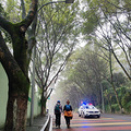 我在南山画了一只大象欢迎来重庆_5