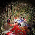 失踪4姐弟凌晨被发现在芦苇丛睡觉，警察翻山遍野找了7个小时