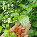 发现了一条进阶路线：缙云山八寺路线徒步_0