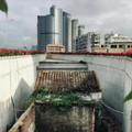 富贵险中求，也在险中丢_4