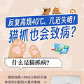 喂流浪猫被咬伤，20岁小伙反复高烧视力减退确诊“猫抓病”