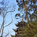 周末约上闺蜜一起带娃大足石刻一日游本月25票价，一路美食美景_5