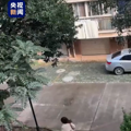 妈妈每天拍女儿匆忙上班的背影_2