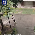 妈妈每天拍女儿匆忙上班的背影_3