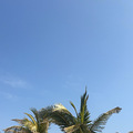 徐闻自驾重庆，经玉林、桂林，阳朔、凤凰、边城_0