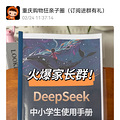 DeepSeekСѧʹֲᡷ޵ѧϰЧߺü_0