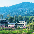 大学城之心_0
