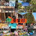 这个五一节带上家人去西双版纳，感受亲子游天花板带来的快乐_2