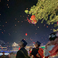 心心念念的祈福以后每年必来的西双版纳还是很值得_4