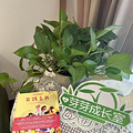 4.23世界读书日 | 治愈系好书，陪你走出成长的雨季