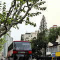 游轮旅行第一站——上海出发篇_2
