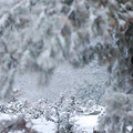 千野草场雪景——花絮_1