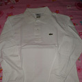 ¥LACOSTE+ѥһ_1