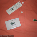 ¥LACOSTE+ѥһ_4