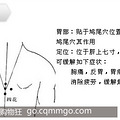 暖宝宝，让我不再冷_0
