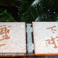 【重庆下雪了】——时隔19年重庆今年再度飘雪（更新实拍视频）