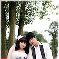 晓跃&amp;猪贝【羽毛婚礼大贴】_1