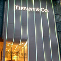 졾Tiffany &amp; Coҵˣ·˳ļ_2