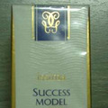 ȫޢ漣ˮװsuccess modelϵУ˦_5