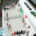 LACOSTE 75йѲչվ򹫿_1