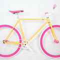 Fixed Gear_4