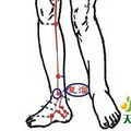 18味中药对应的人体穴位_1