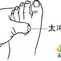 18味中药对应的人体穴位_3