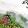 华东最美的漂流景区！安吉深溪峡谷漂流_3