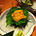 2012来了！肥肥安的上海美食之旅 _0