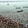 2012横渡钱塘江活动将举行