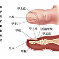 你听说过吗！_2