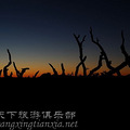 十一[额济纳]---走入天堂与地狱相交的炫彩 _2