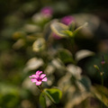 D600 24-70 试镜 _0