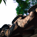 D600 24-70 试镜 _1